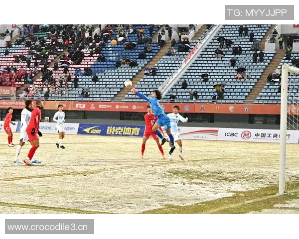 深入分析西安足球队的进攻战术与球队整体表现的关系